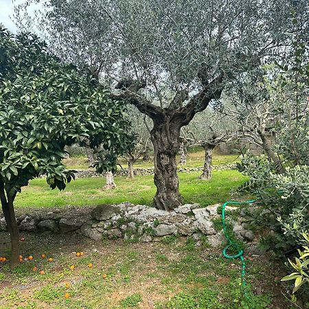 Chic Apartment In Nature, 5-Min Walk To The Beach Kalamata Luaran gambar